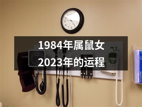 1984年属鼠女2023年的运程