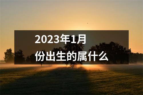 2023年1月份出生的属什么