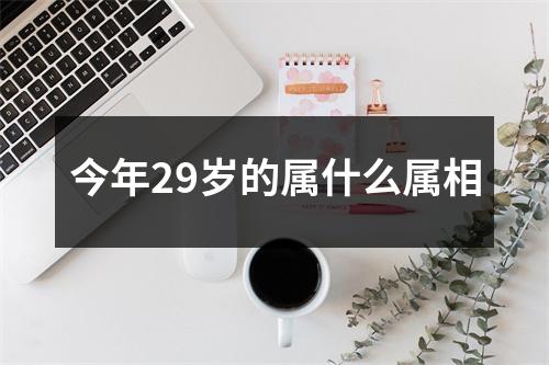 今年29岁的属什么属相