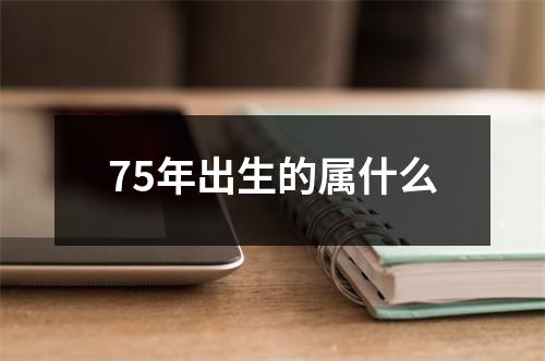 75年出生的属什么