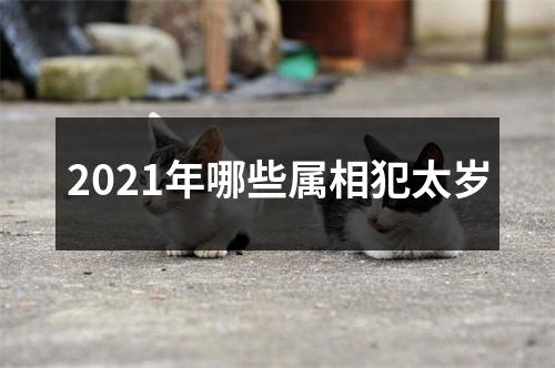 2021年哪些属相犯太岁