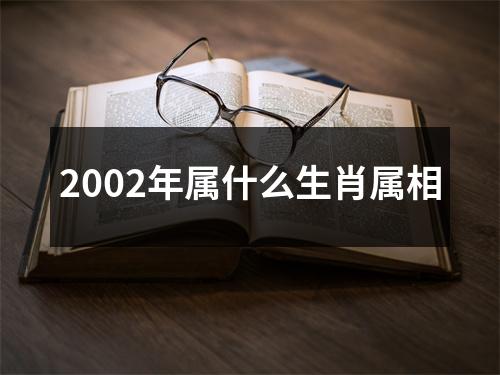 2002年属什么生肖属相