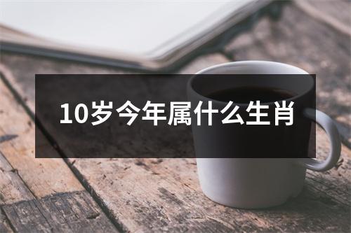 10岁今年属什么生肖