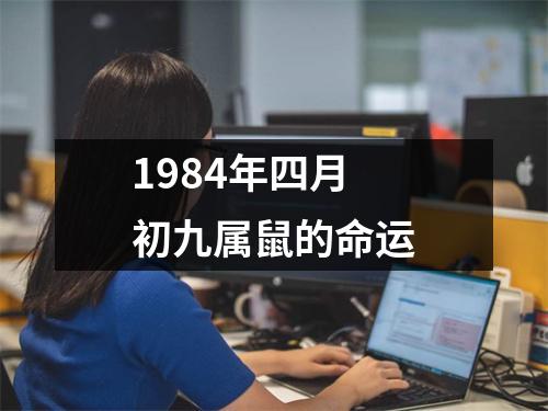 1984年四月初九属鼠的命运