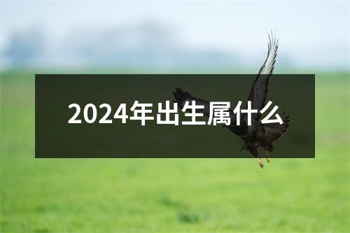 2024年出生属什么