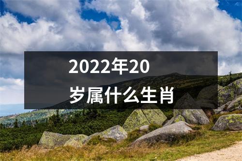 2022年20岁属什么生肖