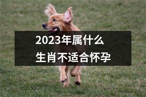 2023年属什么生肖不适合怀孕