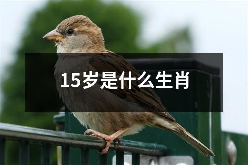 15岁是什么生肖