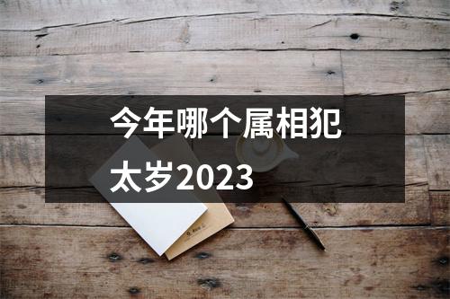 今年哪个属相犯太岁2023