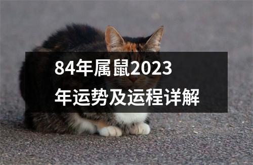 84年属鼠2023年运势及运程详解