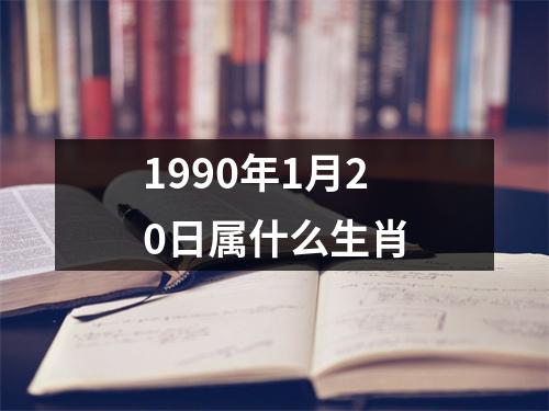 1990年1月20日属什么生肖