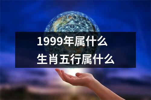 1999年属什么生肖五行属什么