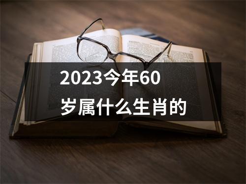 2023今年60岁属什么生肖的