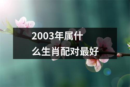 2003年属什么生肖配对最好