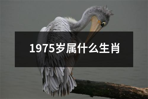 1975岁属什么生肖