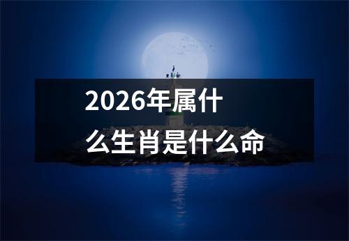 2026年属什么生肖是什么命