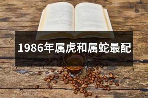 1986年属虎和属蛇最配