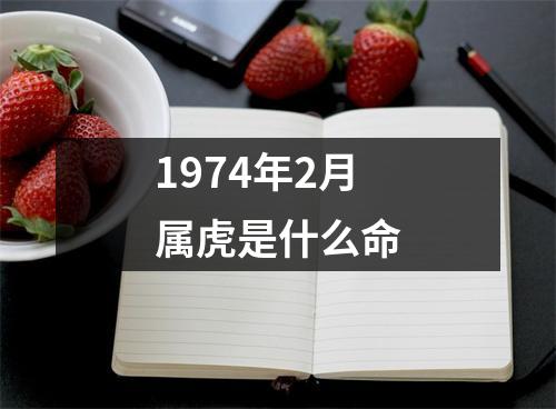 1974年2月属虎是什么命