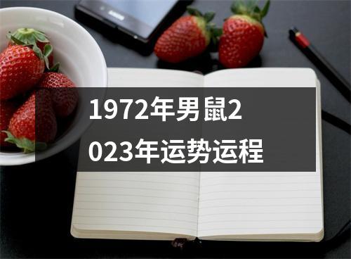 1972年男鼠2023年运势运程