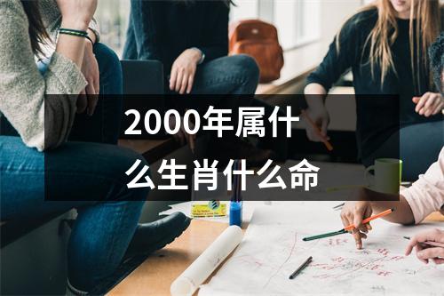 2000年属什么生肖什么命