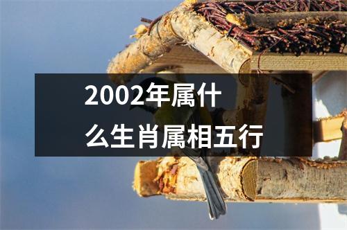 2002年属什么生肖属相五行