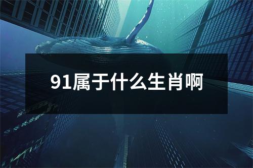 91属于什么生肖啊