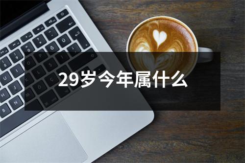 29岁今年属什么