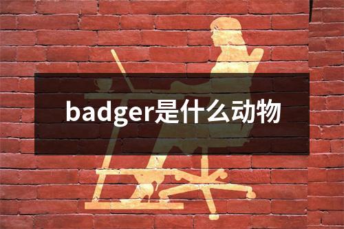 badger是什么动物