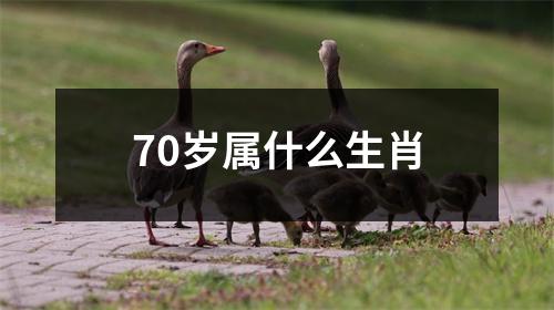 70岁属什么生肖