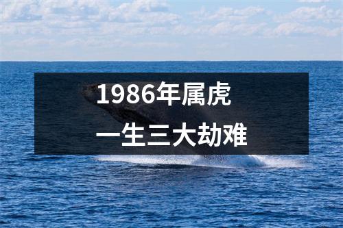 1986年属虎一生三大劫难