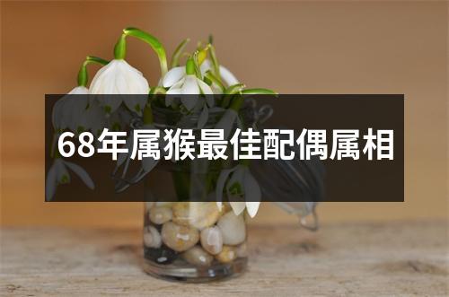 68年属猴最佳配偶属相