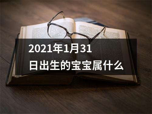 2021年1月31日出生的宝宝属什么