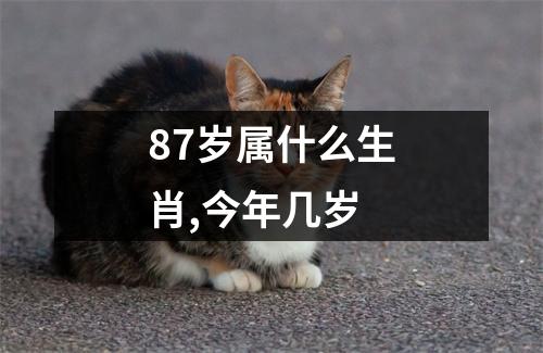 87岁属什么生肖,今年几岁