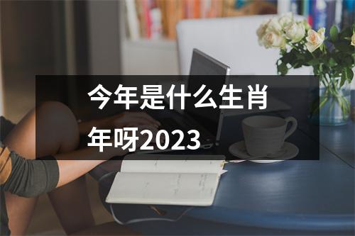 今年是什么生肖年呀2023