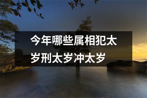 今年哪些属相犯太岁刑太岁冲太岁