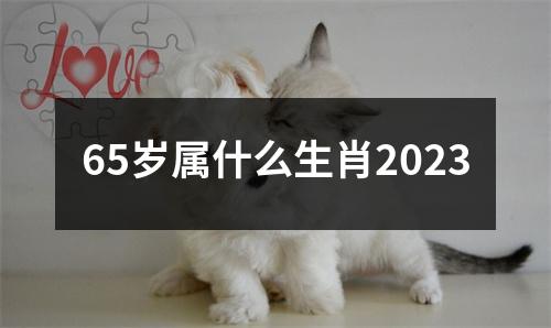 65岁属什么生肖2023