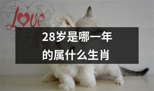 28岁是哪一年的属什么生肖