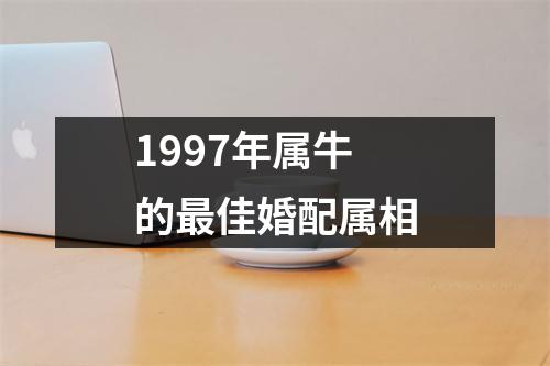 1997年属牛的最佳婚配属相