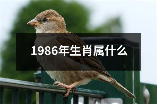 1986年生肖属什么