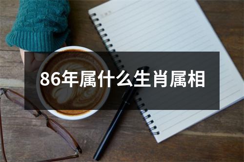 86年属什么生肖属相