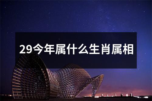 29今年属什么生肖属相