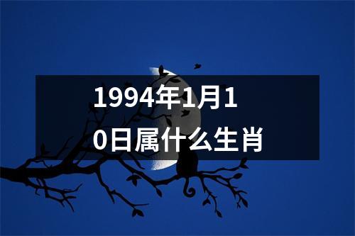 1994年1月10日属什么生肖