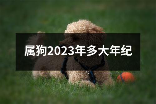 属狗2023年多大年纪