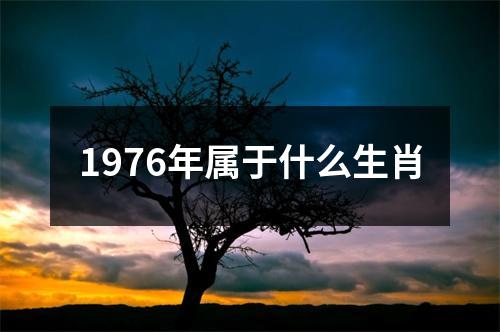 1976年属于什么生肖