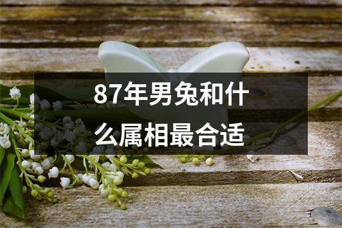 87年男兔和什么属相最合适