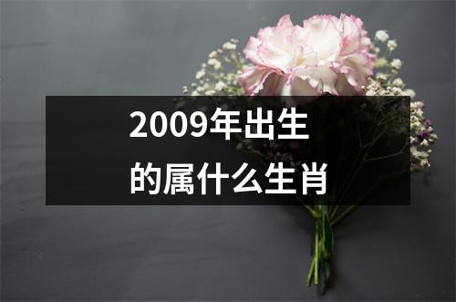 2009年出生的属什么生肖