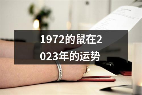 1972的鼠在2023年的运势