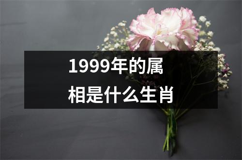 1999年的属相是什么生肖