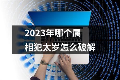 2023年哪个属相犯太岁怎么破解