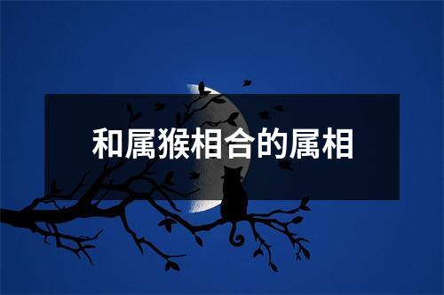 和属猴相合的属相